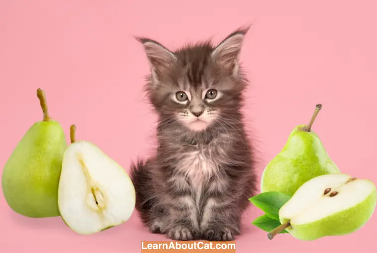 Cat Eats Pear