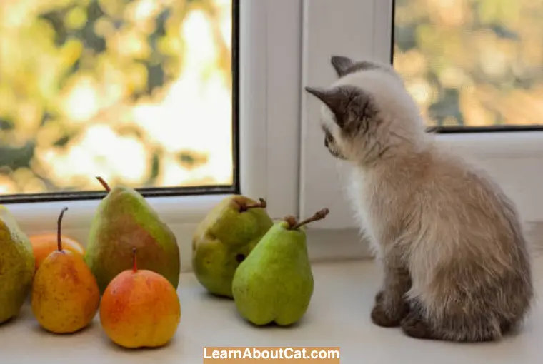 Is Pear Safe for Cats to Eat