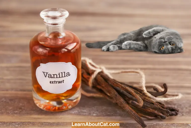 Vanilla is Toxic to Cats