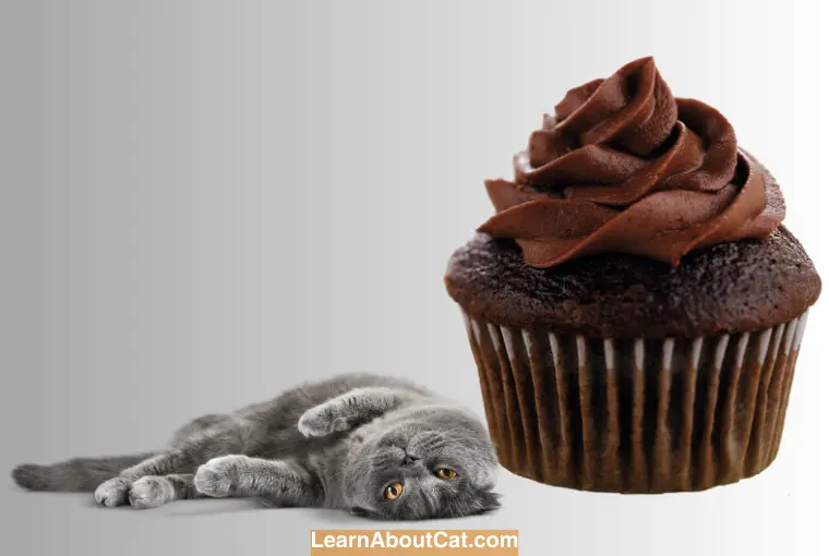 Why is Chocolate Dangerous to Cats