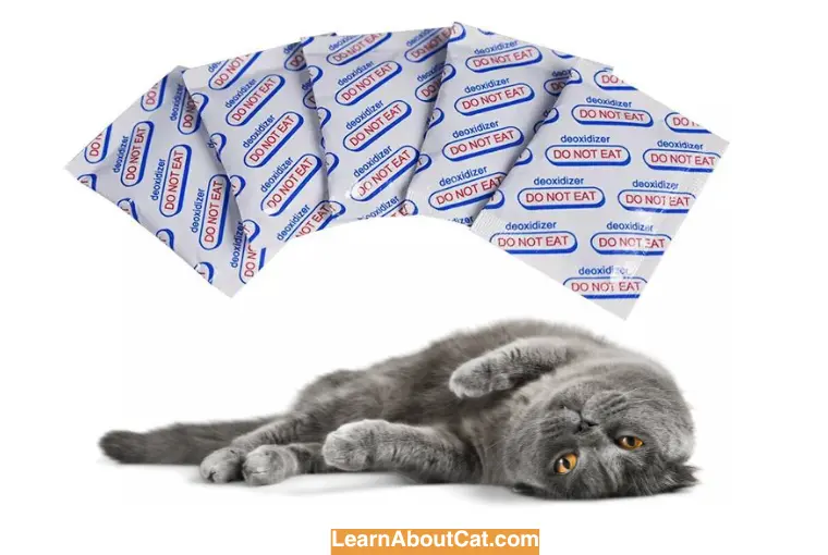 Symptoms of Iron Oxygen Absorbers Ingestion in Cats