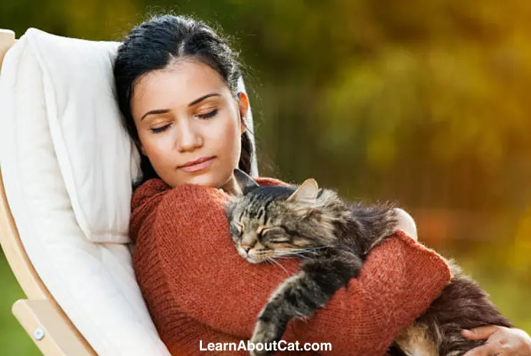 What to Do If Your Cat Is Ruining Your Own Sleep