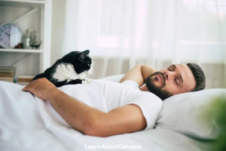 Why Cats Sleep on Certain Parts of Your Body