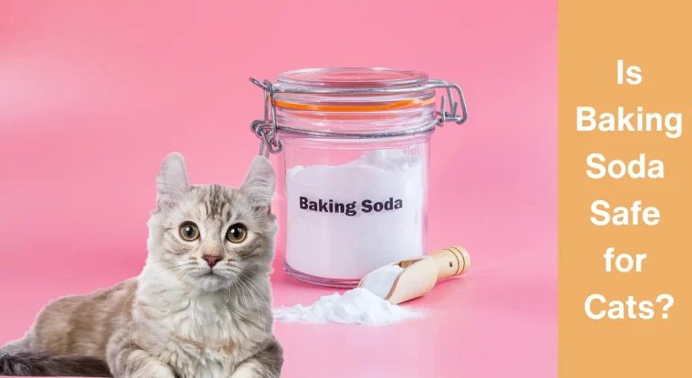 Is Baking Soda Safe for Cats? Is Baking Soda Safe to Use Around Cats?