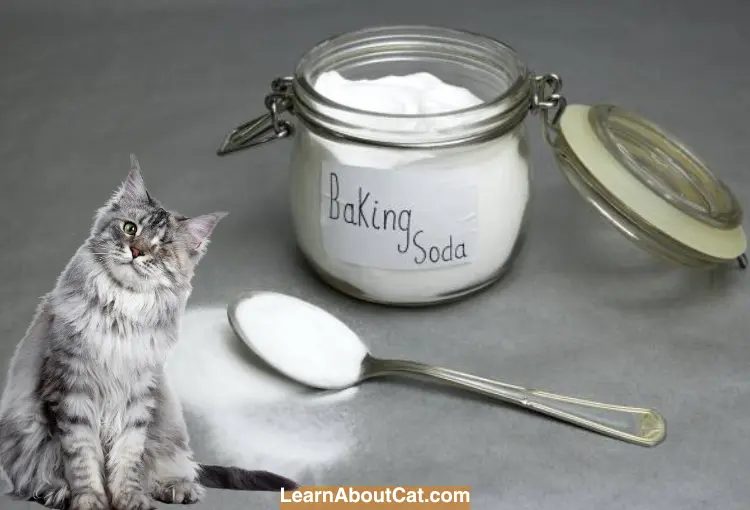 Signs and Symptoms of Baking Soda Toxicity