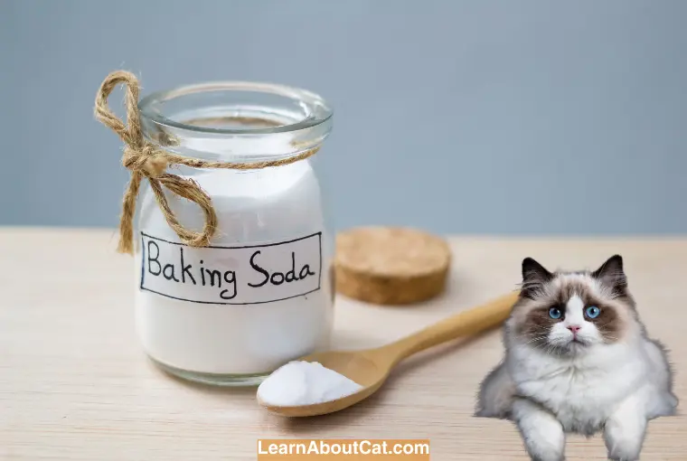 What Happens if a Cat Licks Baking Soda