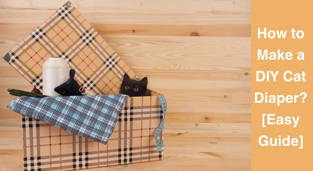 How to Make a DIY Cat Diaper? [Easy Guide] LearnAboutCat