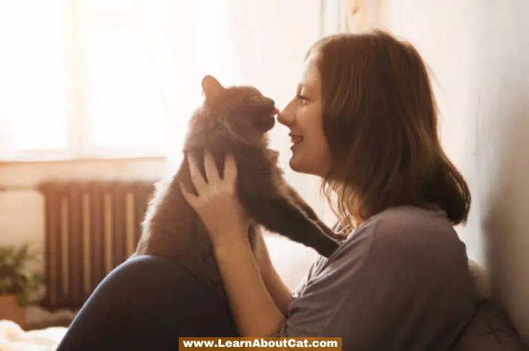 Why Felines Prefer Females Over Males